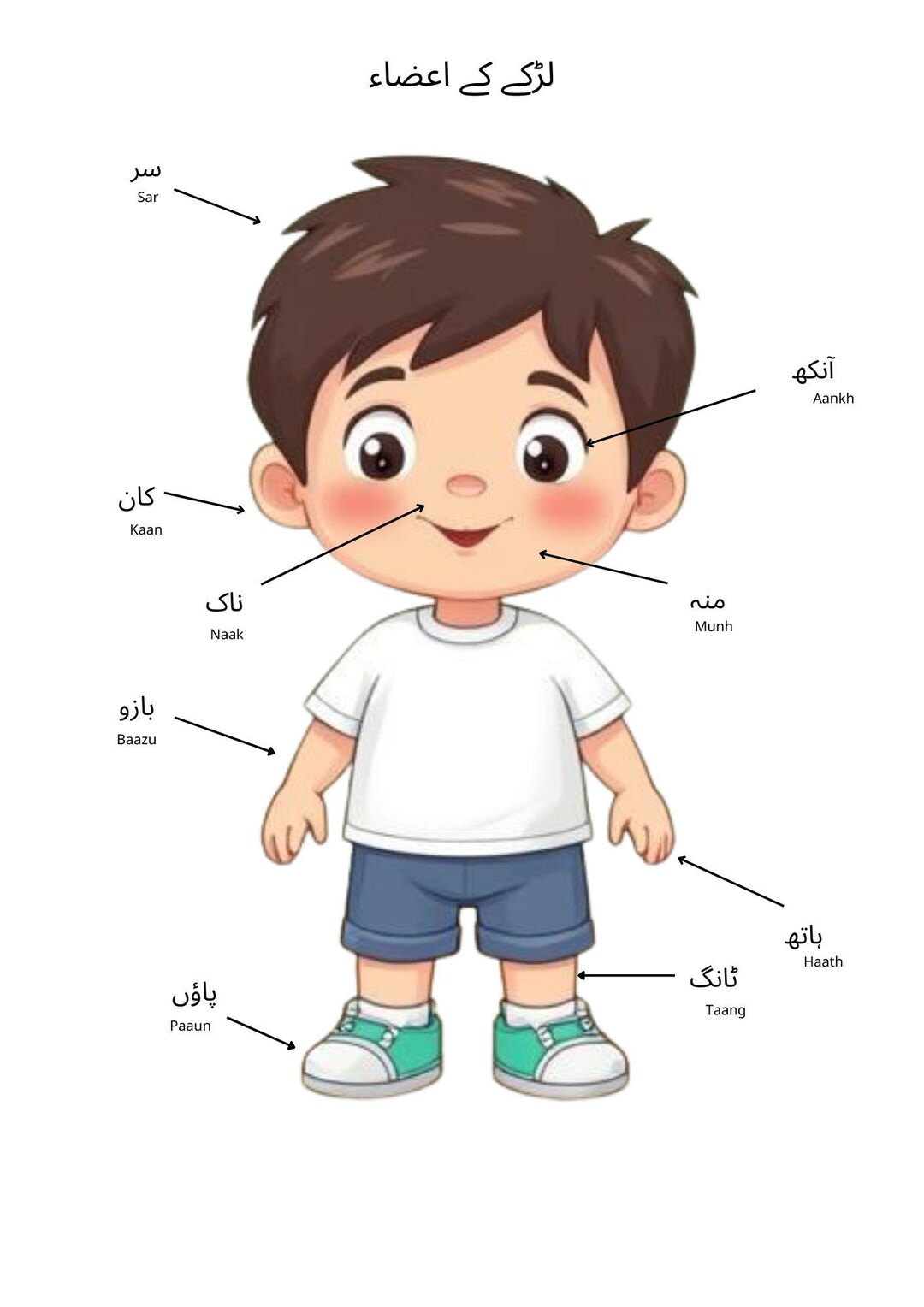 Urdu Body Parts Flashcards for Toddlers | Bilingual Montessori Learning ...