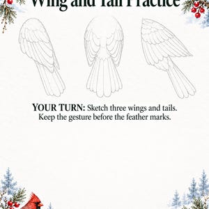 May include: A drawing practice sheet titled Wing and Tail Practice with three line art sketches of bird wings and tails. The page features winter-themed illustrations of pine branches, red berries, pinecones, a chickadee, and a cardinal.