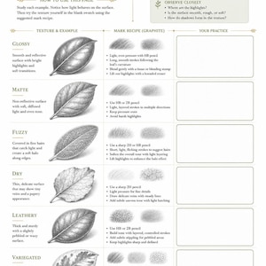 May include: An educational worksheet titled LEAF TEXTURE STUDIES featuring six graphite leaf illustrations demonstrating glossy, matte, fuzzy, dry, leathery, and variegated textures. It includes instructional text, mark recipes, and blank practice boxes.