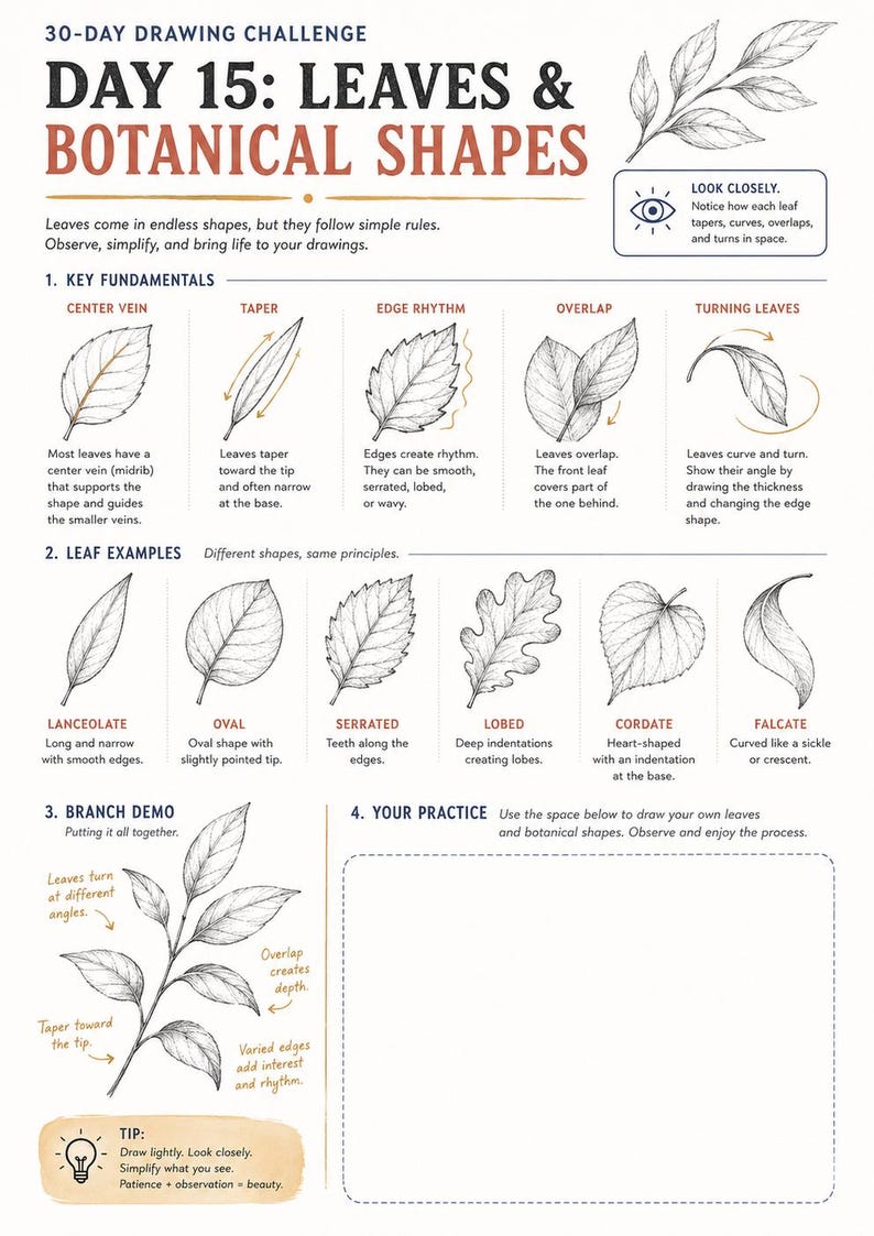 Puede incluir: Una hoja educativa de desaf&iacute;o de dibujo de 30 d&iacute;as titulada Day 15: Leaves & Botanical Shapes. Presenta ilustraciones de arte lineal en blanco y negro de varios tipos de hojas, incluyendo formas lanceoladas, ovaladas, serradas, lobuladas, cordadas y falcadas.