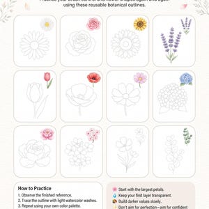 以下が含まれることがあります： 水彩画用の植物の輪郭線が描かれた12種類のフラワー練習用テンプレートセット。各ボックスには花の線画とカラーの参考画像が含まれており、デイジー、バラ、ヒマワリ、ラベンダー、チューリップ、ポピー、コスモス、アジサイ、ピオニー、桜、ユーカリなどが描かれています。