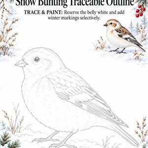 May include: A Snow Bunting traceable outline featuring a large line drawing of a bird, a smaller colored reference image, and text that reads: LUREXEN, Snow Bunting Traceable Outline, TRACE & PAINT: Reserve the belly white and add winter markings selectively.