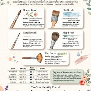 May include: An educational infographic titled MEET YOUR BRUSHES, featuring illustrations of round, flat, detail, mop, and fan brushes. It includes descriptions, beginner ratings, and a comparison table for water capacity and difficulty levels.