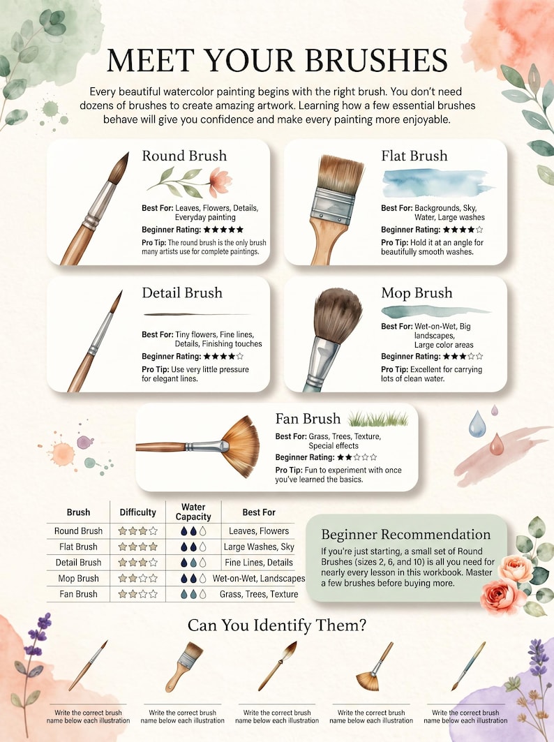 May include: An educational infographic titled MEET YOUR BRUSHES, featuring illustrations of round, flat, detail, mop, and fan brushes. It includes descriptions, beginner ratings, and a comparison table for water capacity and difficulty levels.