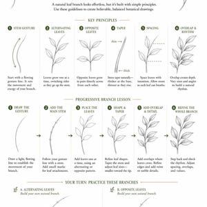 May include: An instructional poster titled BUILD A NATURAL LEAF BRANCH with black line drawings on a white background. It outlines six key principles for botanical drawing, a progressive lesson on branch construction, and practice exercises.