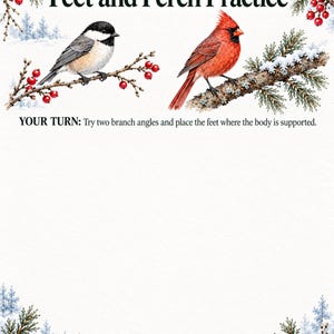 May include: A white instructional sheet titled Feet and Perch Practice by LUREXEN, featuring illustrations of a black-capped chickadee and a red cardinal on snowy pine branches with red berries, including the text: YOUR TURN: Try two branch angles.