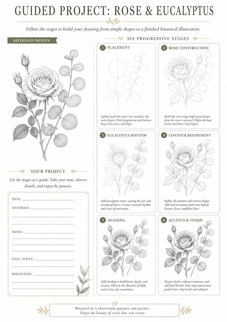 May include: A botanical drawing guide titled Guided Project: Rose & Eucalyptus. It features a reference illustration of a rose and eucalyptus branch, six progressive drawing stages, and a project log section with lines for date, materials, and notes.