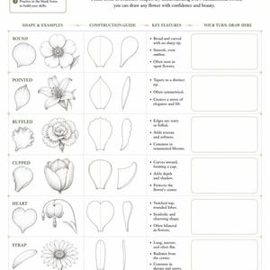 May include: A white instructional worksheet titled A LIBRARY OF PETAL SHAPES with black text and illustrations. It features a table categorizing petal types like round, pointed, ruffled, cupped, heart, strap, and layered, including construction guides, key features, and blank boxes for drawing practice.