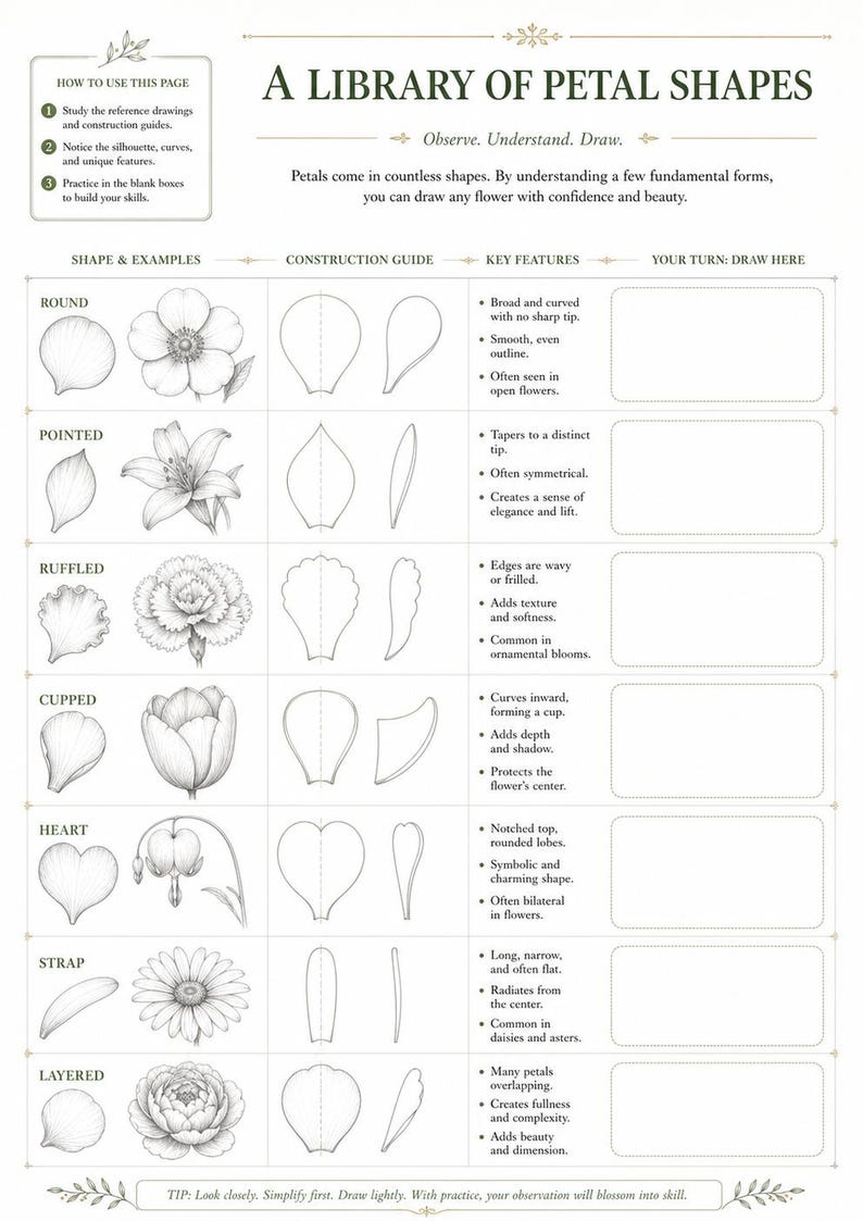 May include: A white instructional worksheet titled A LIBRARY OF PETAL SHAPES with black text and illustrations. It features a table categorizing petal types like round, pointed, ruffled, cupped, heart, strap, and layered, including construction guides, key features, and blank boxes for drawing practice.