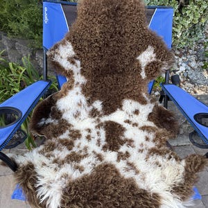 May include: A thick, curly sheepskin rug featuring a mottled pattern of dark brown and cream white patches. The pelt has a dense, textured wool surface with irregular, organic shapes distributed across the entire hide, creating a high-contrast appearance.