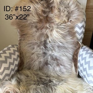 Genuine Tibetan Sheepskin Rug | Natural Gray Brown Soft Wool Throw