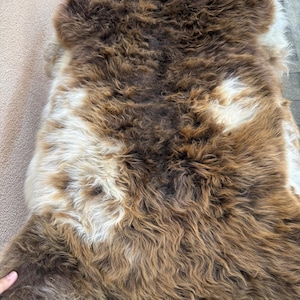 May include: A thick, plush sheepskin rug featuring a natural color palette of deep chocolate brown and creamy white. The long, curly wool fibers create a dense, textured surface with irregular patches of color distributed across the hide.