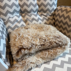 May include: A folded, light brown, fluffy blanket rests on a gray and white chevron patterned chair. The blanket has a curly, textured appearance, suggesting a soft, warm material. The chair has a button-tufted back.