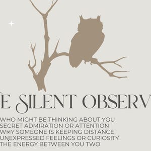 May include: A beige print featuring a silhouette of an owl perched on a branch, with the text "THE SILENT OBSERVER" and bullet points about relationships. The design includes stars and a neutral color palette.