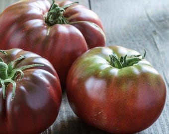 Black Brandywine Tomate Lokale nur Abholung möglich. 15.April Gewächshaus. Bepflanzen? Kommen Sie zurück, um nach dem 5/1 für 5/30 Pick Up zu bestellen