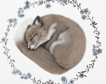 Sleeping Baby Fox Print 5x7 Nursery Art