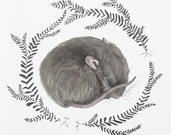 Sleeping Baby Mouse Print Watercolor Woodland Nursery Print