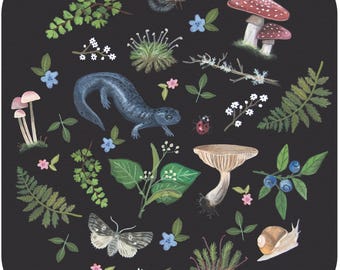 Peut inclure: Un carré noir aux coins arrondis présentant une illustration botanique et animalière. Les éléments incluent une salamandre bleue, un escargot, une coccinelle, des papillons, divers champignons, des fougères, des branches et des fleurs.