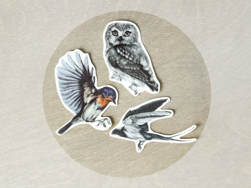 Temporary Tattoos Bird Collection Includes 3 Tattoos Etsy
