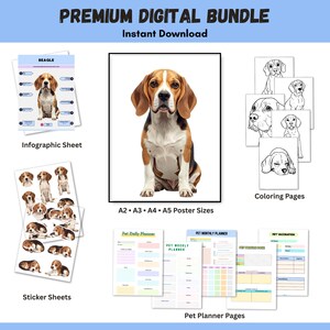 Puede incluir: Un paquete digital con un perro beagle. Incluye una hoja de infografía, hojas de pegatinas, páginas para colorear y páginas de planificación de mascotas. El paquete también incluye una impresión de póster grande en tamaños A2, A3, A4 y A5. El texto "Premium Digital Bundle" y "Instant Download" son visibles.