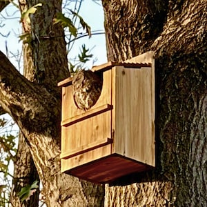 May include: A wooden owl house attached to a tree. The house is rectangular with a round opening and a small roof. An owl is visible inside the house. The tree trunk and branches are visible in the background.