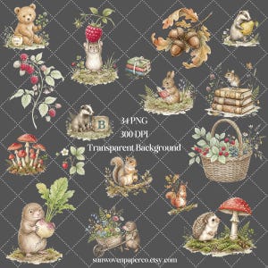 Może przedstawiać: Kolekcja akwarelowych ilustracji przedstawiających zwierzęta leśne, w tym niedźwiedzia, myszy, kr&oacute;lika, wiewi&oacute;rkę, borsuka i jeża, wraz z grzybami, jagodami, żołędziami, książkami i koszem, z tekstem 34 PNG 300 DPI Transparent Background.