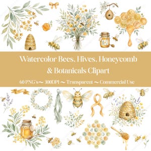 Può includere: Illustrazione ad acquerello con api, favi, alveari ed elementi botanici. L'immagine include illustrazioni di api, vasetti di miele e composizioni floreali. Il testo sull'immagine recita "Watercolor Bees, Hives, Honeycomb & Botanicals Clipart".
