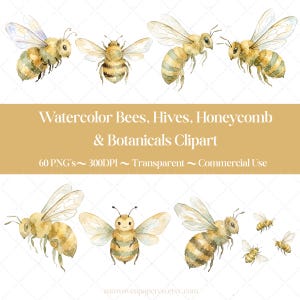 May include: Watercolor clipart featuring several watercolor bees with transparent wings, in various poses. The image also includes text that reads "Watercolor Bees, Hives, Honeycomb & Botanicals Clipart". The clipart is for commercial use.