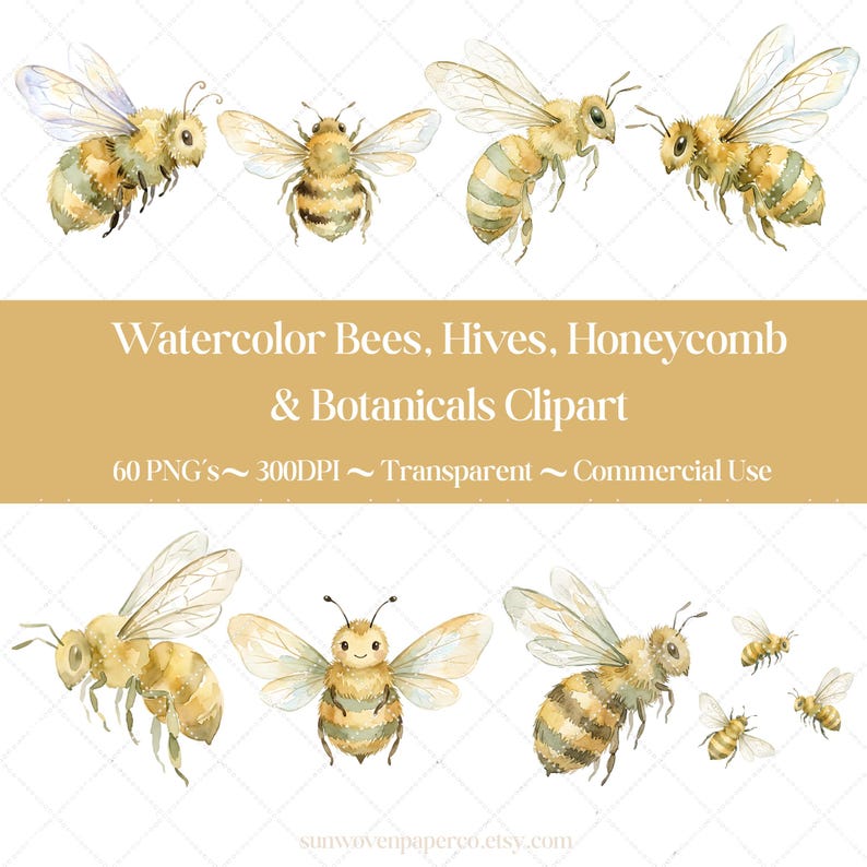 May include: Watercolor clipart featuring several watercolor bees with transparent wings, in various poses. The image also includes text that reads "Watercolor Bees, Hives, Honeycomb & Botanicals Clipart". The clipart is for commercial use.