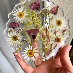 Puede incluir: Posavasos redondo de resina transparente con borde ondulado, con margaritas blancas secas, flores burdeos y delicada vegetación. El posavasos, sostenido en una mano, muestra un arreglo floral natural. Diámetro aproximado 10 cm.