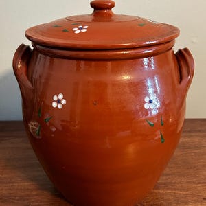 Può includere: Un vaso in ceramica color terracotta con coperchio, due manici e decorazioni floreali bianche e blu. Il vaso ha una forma arrotondata e una finitura lucida, adatta per la cucina o l'arredamento della casa.