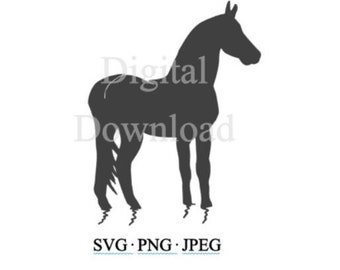 Horse SVG, Horse Silhouette, Horse Cut File Cricut, Water Horse PNG, Horse Standing Jpeg, Horse Image File, Horse Outline, Horse Clipart CNC