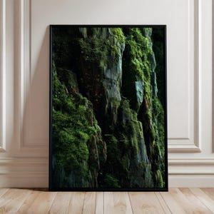 May include: A framed art print featuring a close-up view of a moss-covered rock face. The image showcases a textured rock surface with vibrant green moss, creating a natural, earthy aesthetic. The artwork is framed in a black border, adding a modern touch.