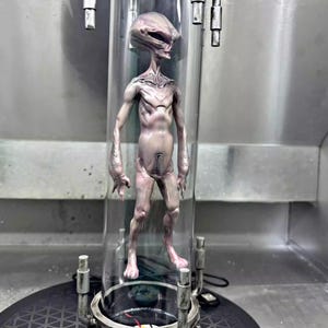 Puede incluir: Una escultura detallada de una figura alienígena, de color rosa pálido, encerrada en un contenedor cilíndrico transparente. El alienígena tiene una cabeza grande, extremidades delgadas y está de pie sobre una base circular con detalles metálicos.