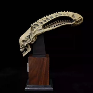 May include: A detailed sculpture of an alien skull, featuring a long, curved head with intricate skeletal details and sharp teeth. The sculpture is in a beige color and is mounted on a black stand atop a wooden base, set against a dark background.