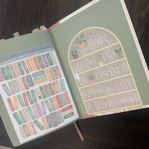 Puede incluir: Un libro abierto con guardas de color verde salvia. La p&aacute;gina izquierda presenta una cuadr&iacute;cula de ilustraciones rectangulares de lomos de libros coloridos. La p&aacute;gina derecha muestra un gr&aacute;fico de estanter&iacute;a arqueada con filas de lomos etiquetados.