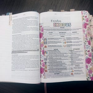 Puede incluir: Una Biblia abierta que muestra el Libro del &Eacute;xodo con texto impreso, encabezados coloridos y bordes de p&aacute;gina con motivos florales. Las p&aacute;ginas presentan secciones organizadas para temas, esquemas y aplicaciones, con m&uacute;ltiples pesta&ntilde;as decorativas.