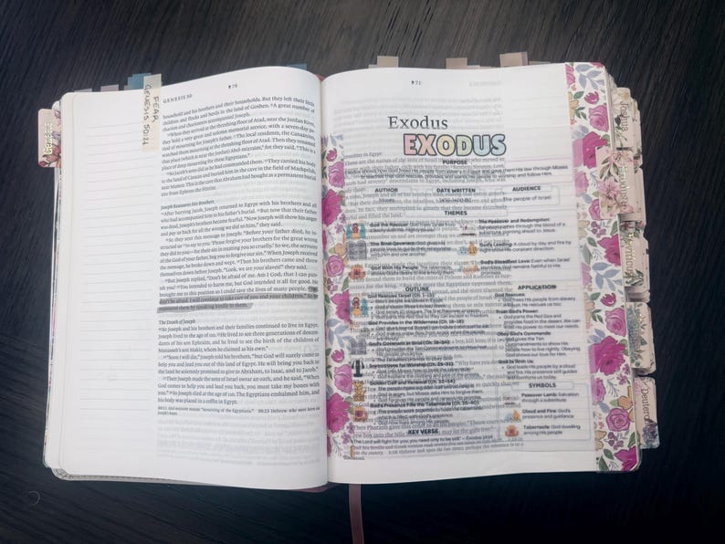 Puede incluir: Una Biblia abierta que muestra el Libro del &Eacute;xodo con texto impreso, encabezados coloridos y bordes de p&aacute;gina con motivos florales. Las p&aacute;ginas presentan secciones organizadas para temas, esquemas y aplicaciones, con m&uacute;ltiples pesta&ntilde;as decorativas.