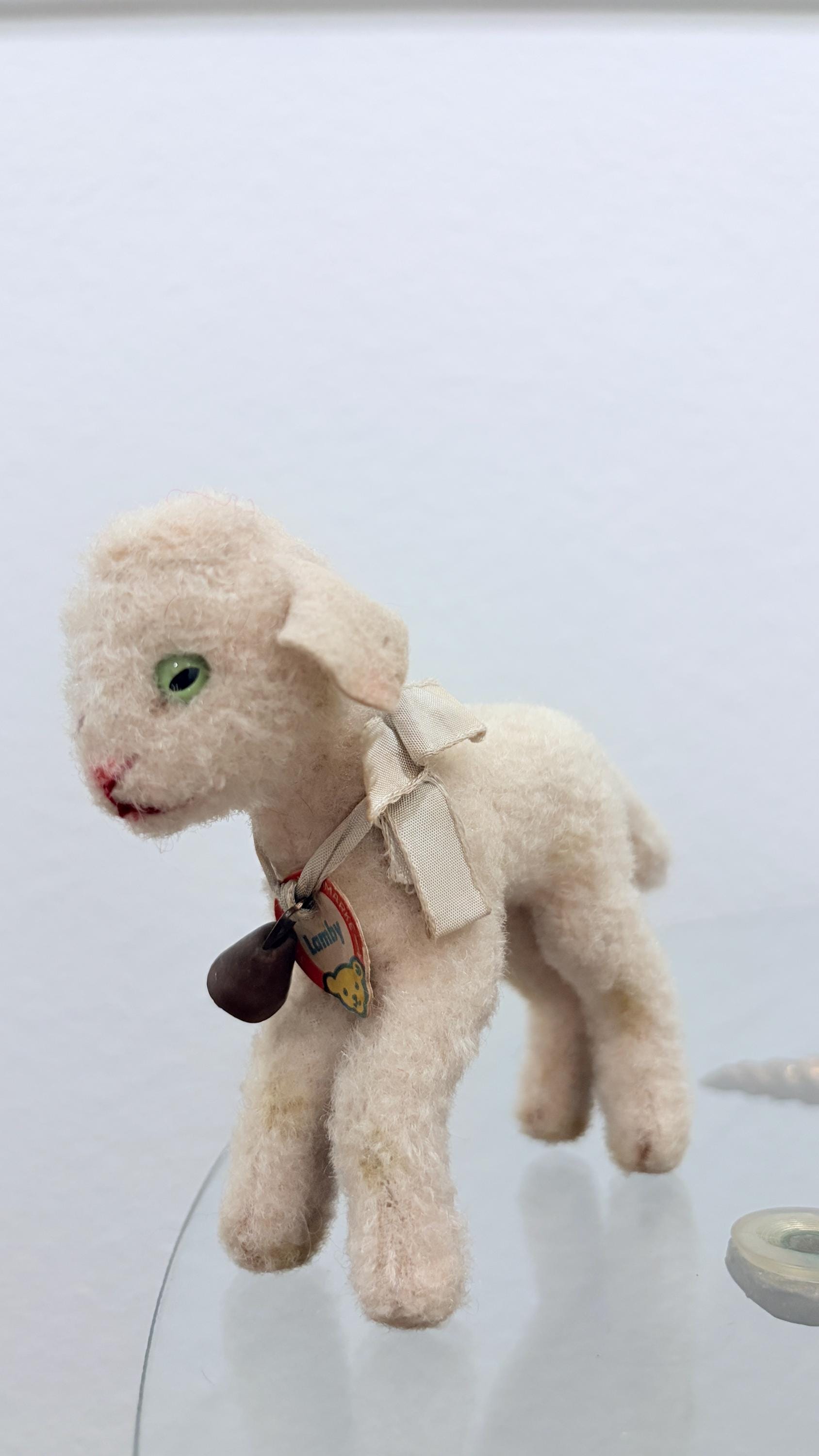 Steiff lamby - Etsy 日本