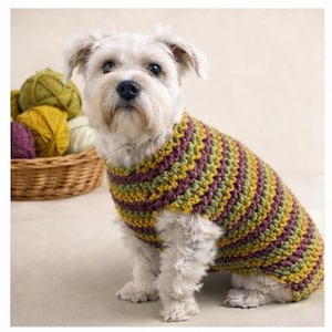 May include: A small white dog wearing a colorful, striped crochet sweater. The sweater features bands of yellow, green, and purple. A wicker basket filled with yarn balls in various colors sits in the background.