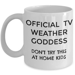 Female Meteorologist Coffee Mug, Official TV Weather Goddess Don&#39;t Try This At Home Kids, Weather Girl Gift, Weather Person Coffee Cup Gift