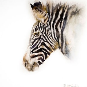 Puede incluir: Pintura acuarela de la cabeza y el cuello de una cebra, con rayas blancas y negras. La cebra mira hacia la izquierda, y el fondo es blanco.