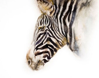 Zebra Note Cards / Animals / Safari / Zoo / Watercolor / Greeting Cards / Blank Inside / Bernie