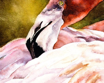 Pink Flamingo Note Cards / Bird Art / Bird Watercolor /  Greeting Cards / Flamingo Cards / In Pink Pink