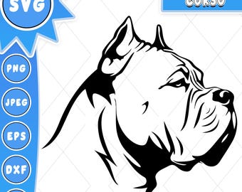 May include: Black and white vector illustration of a Cane Corso dog's head, in profile. The image includes the text "Cane Corso" in a blue rectangle and file type options: SVG, PNG, JPEG, EPS, DXF, and AI.