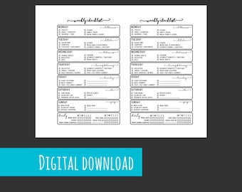 PRINTABLE - MINI Happy Planner Reinigungs Checkliste Planer Einlage | Mini Happy Planner Wochen checkliste | Mini Happy Chore Liste