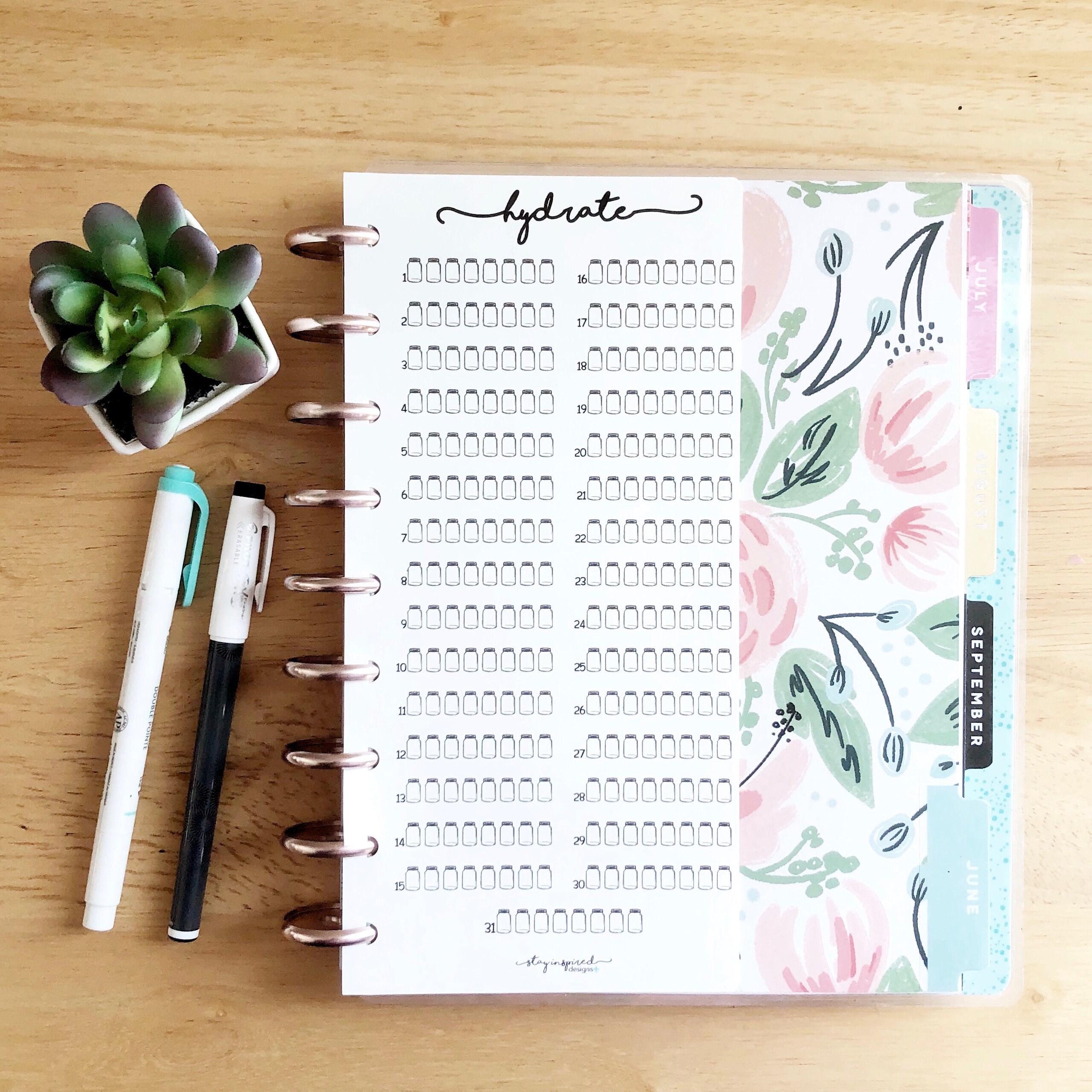 PRINTABLE - CLASSIC Happy Planner Hydrate Insert | Happy Planner Insert ...