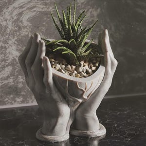 May include: A gray, hand-shaped planter holding a succulent plant. The planter is made of a stone-like material and features detailed fingers and a textured surface. The succulent has green and white striped leaves and sits in a bed of small pebbles.