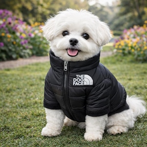 May include: A small, white dog wearing a black puffer jacket with the text "THE DOG FACE" in white. The dog is sitting on green grass with a blurred background of flowers.