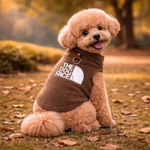 May include: A small, light brown dog wearing a brown fleece vest with the text "THE DOG FACE" in white. The dog is sitting on the grass with fallen leaves, and the background is blurred with autumn colors.